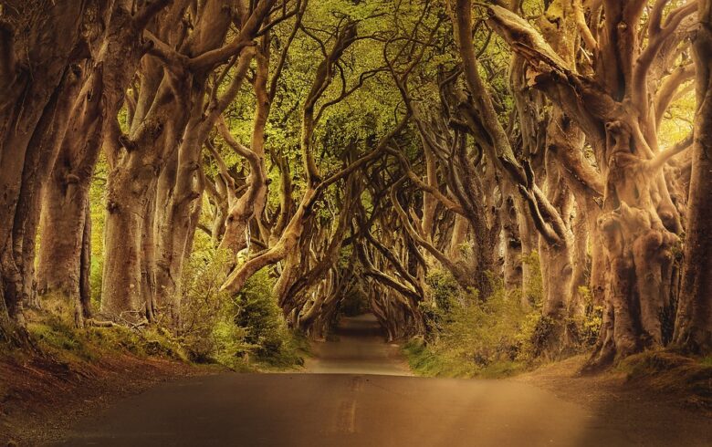 Ireland